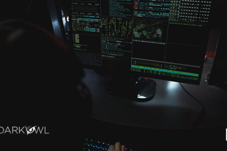 DarkOwl Announces Release of Ransomware API