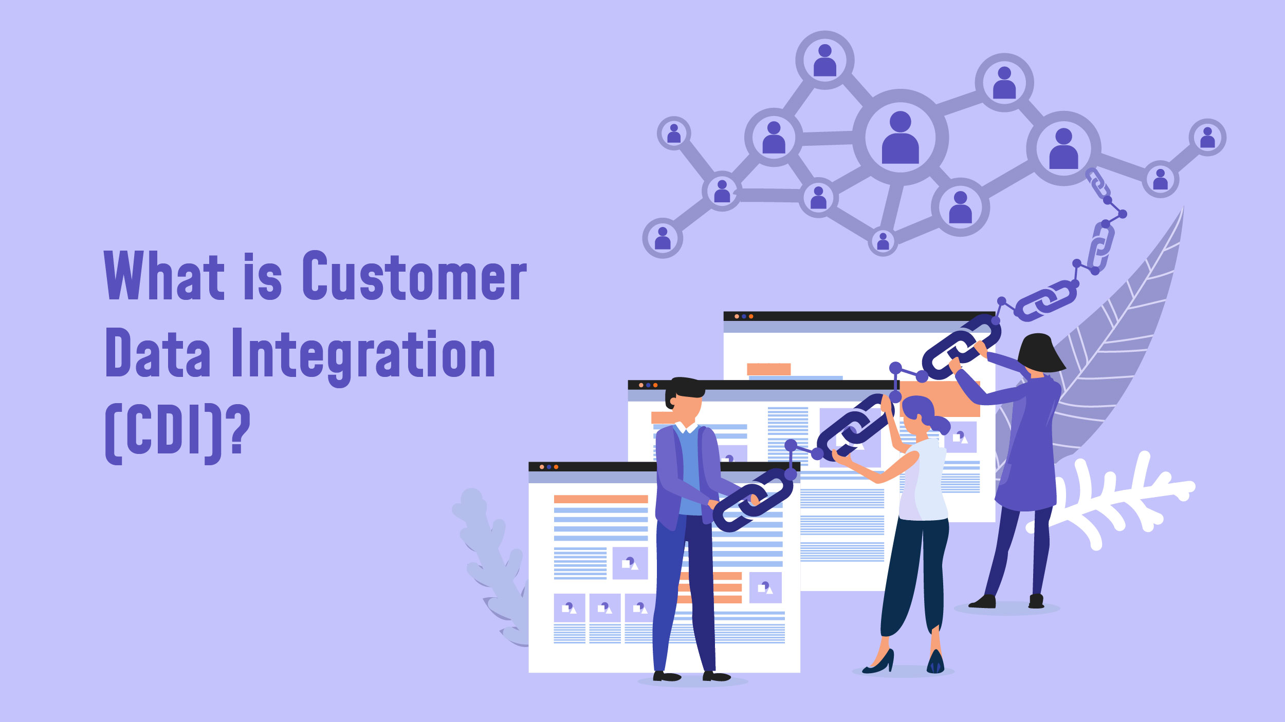 Customer Data Integration