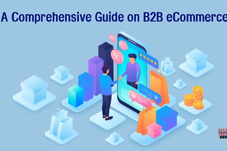 A Comprehensive Guide on B2B eCommerce