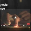 Kaltura & Synthesia Partner on AI Video Creation & Delivery